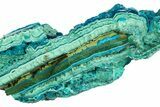 Vibrant Teal Botryoidal Chrysocolla and Malachite - Chile #310108-1